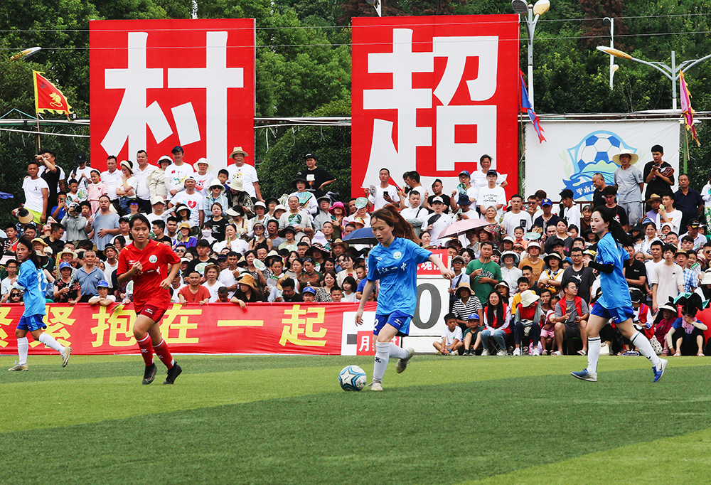 小蜘蛛和加 小蜘蛛和加